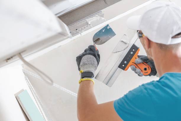 Best Mold Damage Restoration  in Rawls Springs, MS